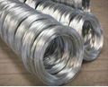 Electric Galvanized Wire 1