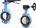 A type butterfly valve 1