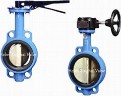 A type butterfly valve