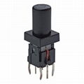 6*6 LED-illuminated Tact Switches 2