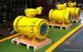 trunnion mounted ball valve