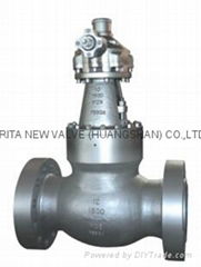 pressure seal globe valve