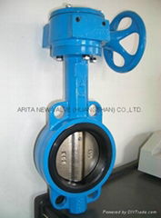 soft seated butterfly valve
