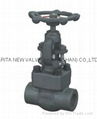 Forged Steel Valves 3