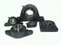 Bearings & Oil seals.T200A 2