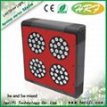 GreenhouseLED grow lights for Veg&Bloom