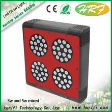 GreenhouseLED grow lights for Veg&Bloom