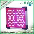 High quality 100w-1200w hydroponic led grow light  for fruit &vegetable grow 4