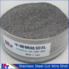 blasting abrasive stainless steel cut wire shot form NO.1 manufaucturer