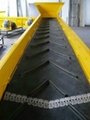  Patterned conveyor belt