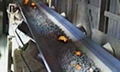 Heat-resisting conveyor belt made in china  1