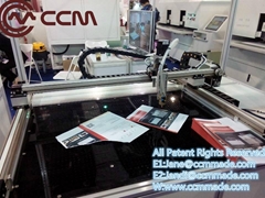 Hign precision High quality CCM W40 belt driven motorized customized length line