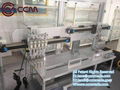 High Quality CCM W50 customized length linear rail linear actuator lab testing  2