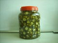 Sliced Jalapeno 3kgs 1