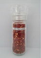 Chilli Flakes Grinder 1