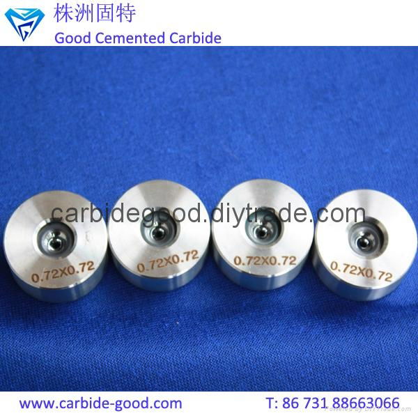 Manufacturer Supply Tungsten Carbide Wire Drawing Dies Copper Wire Drawing Dies 3