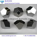 Synthetic Diamond Making Tools Cemented Tungsten Carbide Anvil Hard Alloy Anvils 1