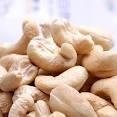 Fresh Raw Cashew Nuts in Shell 