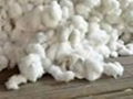 Raw cotton bale 2