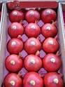 Fresh Pomegranate 3