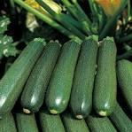 Courgette