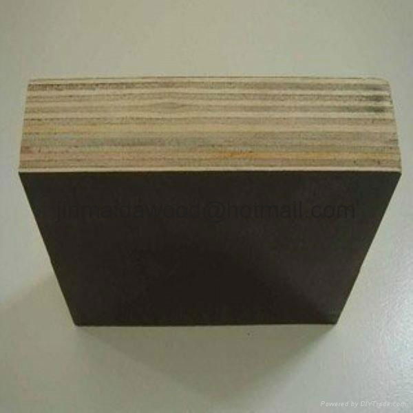 Best price  film faced plywood 