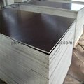 Best price  film faced plywood  5