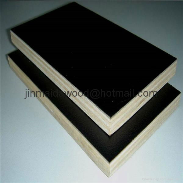 Best price  film faced plywood  4