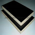 Best price  film faced plywood  4