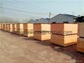 competitive price film faced plywood used construction 1