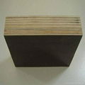 hot sell brown film faced plywood used