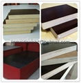 hot sell brown film faced plywood used waterproof glue 3