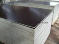 hot sell brown film faced plywood used waterproof glue 2