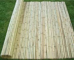 bamboo fence-JNN 2