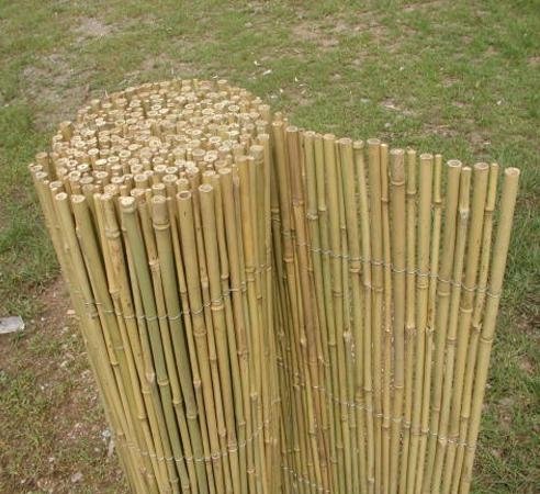 bamboo fence-JNN 3