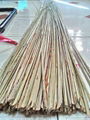 BROOM STICKS 4