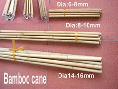 bamboo poles