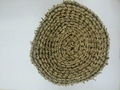 TREE TRUNK PROTECTION WITH SEDGE MAT.jn 4