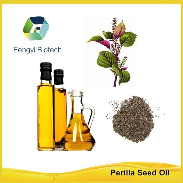 Bulk Organic Perilla Seed Oil Made In China  2