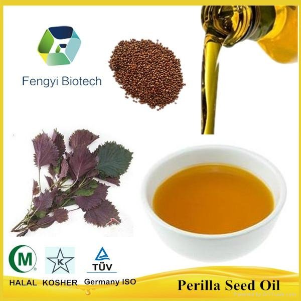 Bulk Organic Perilla Seed Oil Made In China 