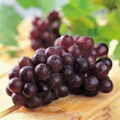 pure grape seed oil 1