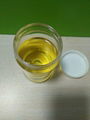 pure grape seed oil 3