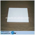 PTFE SHEET 2