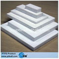 PTFE SHEET 5