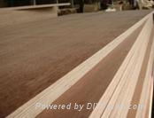 Veneer Laminated Marine Plywood