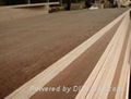 Veneer Laminated Marine Plywood