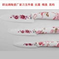 Ceramic printing knife 1