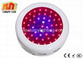 LED Grow Lights 2