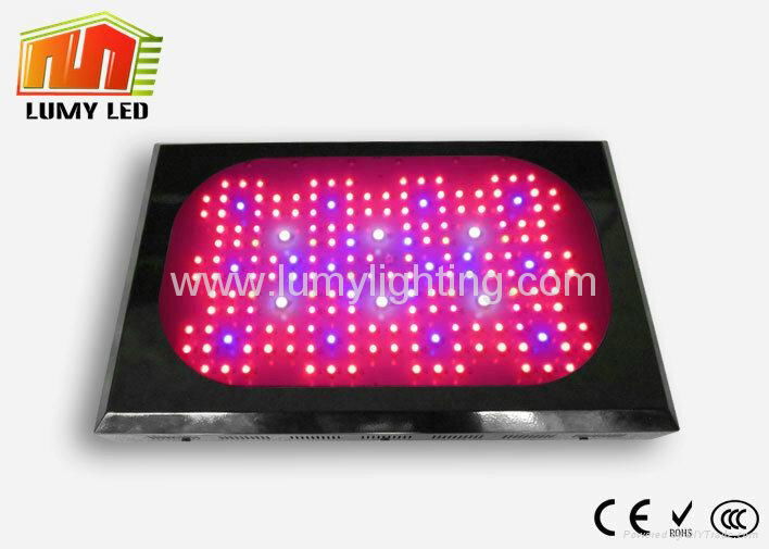 LED Grow Lights 3