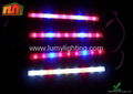 Alu Profile LED Grow Lights 5